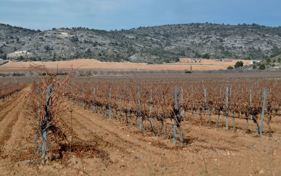 Vinmarker ved Sierra de Salinas i Alicante-provinsen